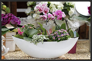 horticulture muller - 4 saisons fête des mères