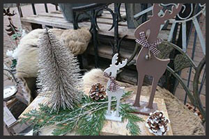 horticulture muller - 4 saisons noel