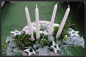 horticulture muller - 4 saisons noel